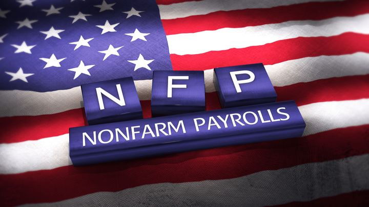 Nfp meaning crypto crypto vc firms