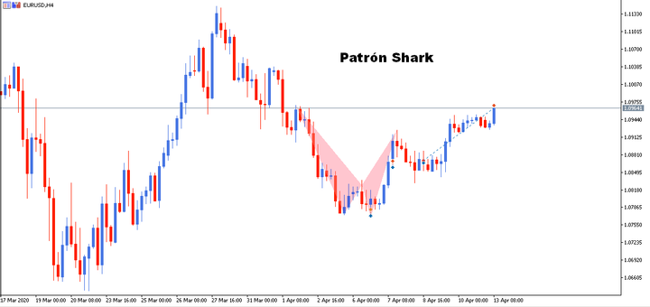 patron armonico shark